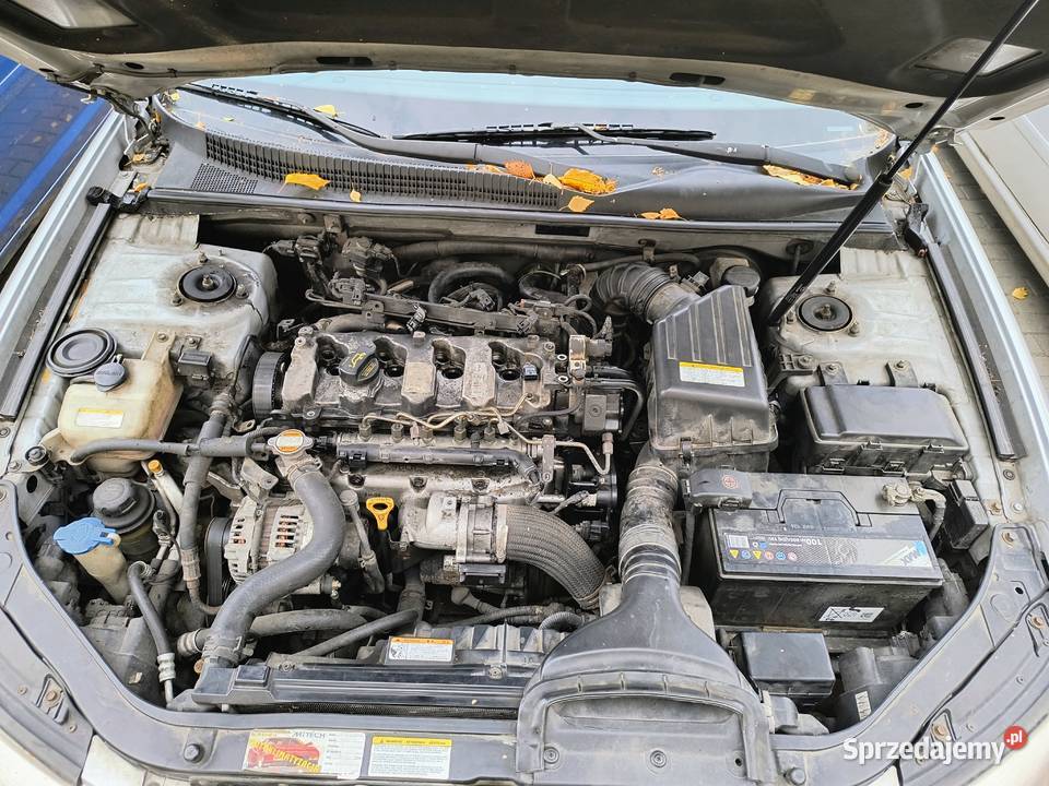 Hiunday Sonata 2006r diesel Terespol