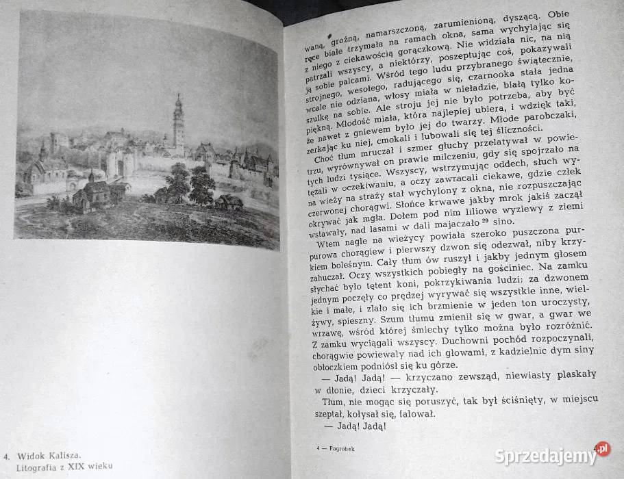 Pogrobek Józef Ignacy Kraszewski Rok wydania 1969 lubelskie Chełm sprzedam