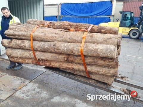 Kłody z drewna tekowego drewno teak Gdynia