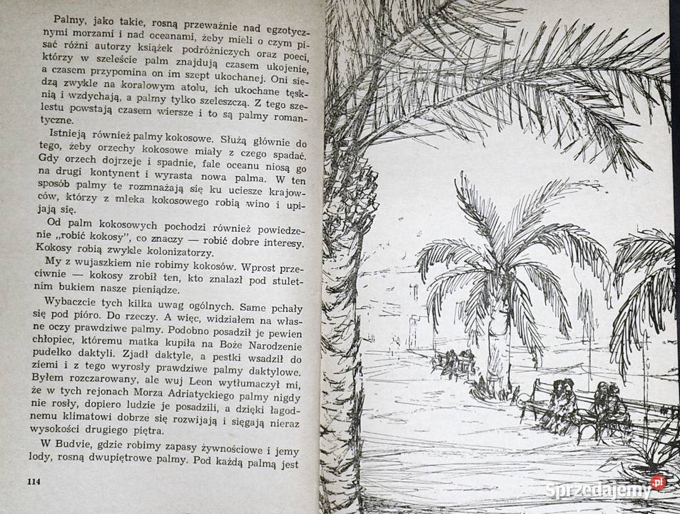 Piraci z Wysp Śpiewających Adam Bahdaj miękka z obwolutą lubelskie Chełm