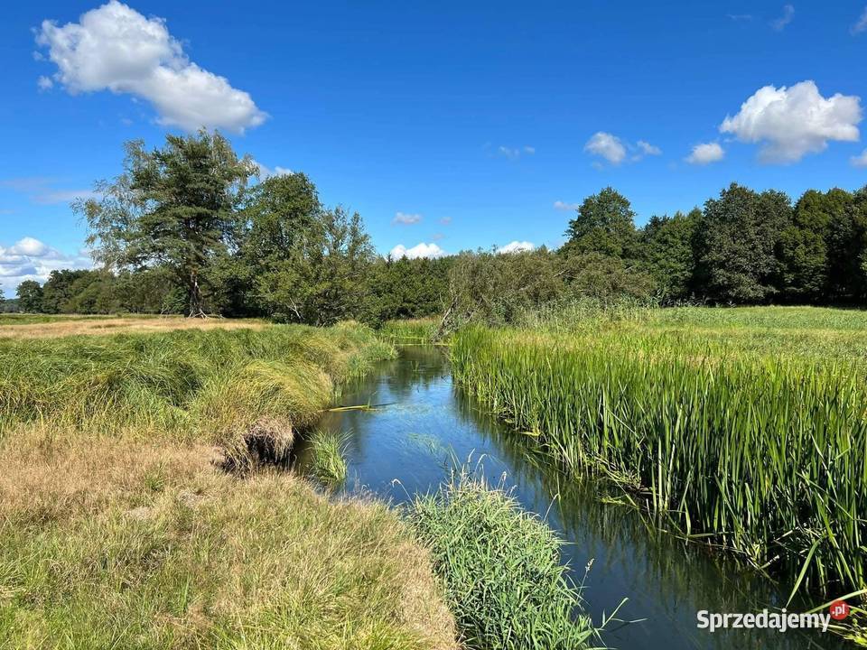 Działka z linią brzegową Grunty i działki Trzebielino
