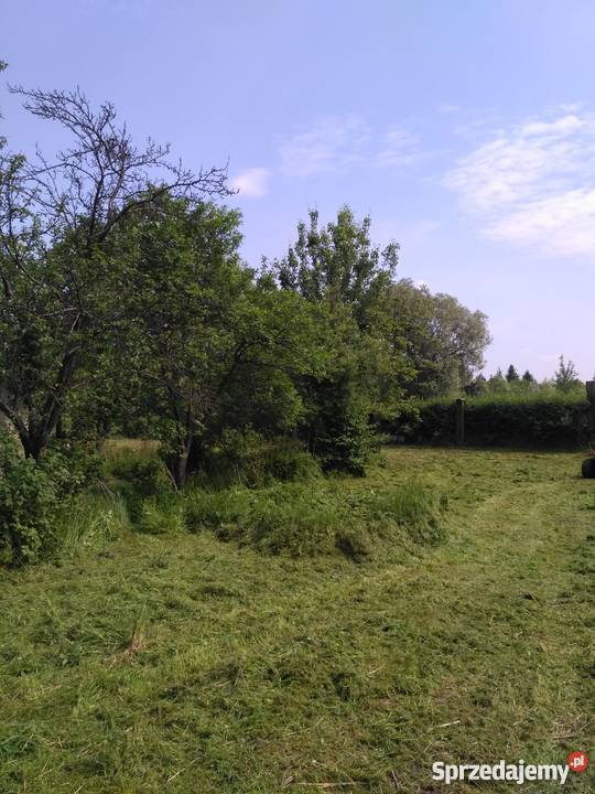 Ogródek działkowy Chorzów