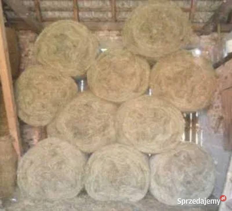 Siano w belach 120 Zabłudów