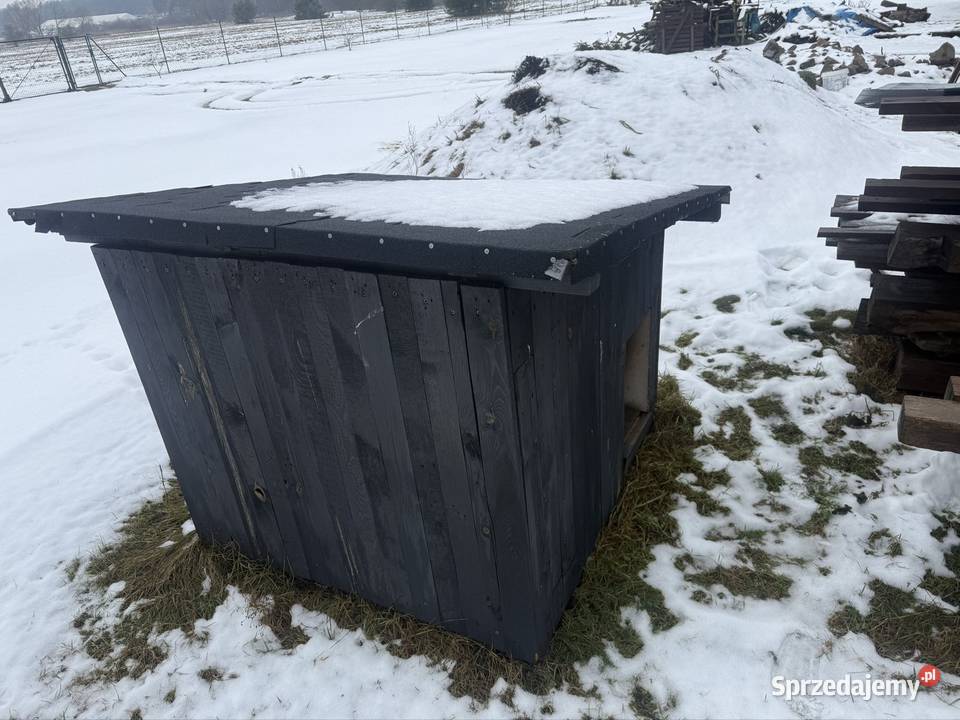 Buda psa duża Gorzów Wielkopolski