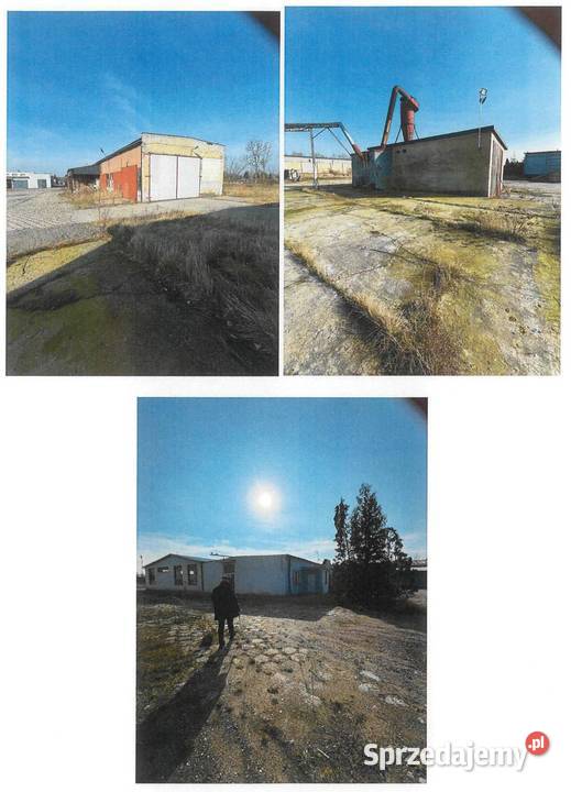 Zabudowane działki tworzące całość gospodarczą Sprzedaż Łochocin sprzedam