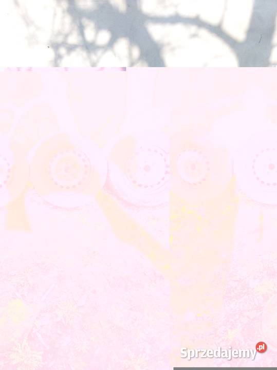 Opony 1956515 15 Koła 5x112 vw audi seat Skoda wielkopolskie Poniec