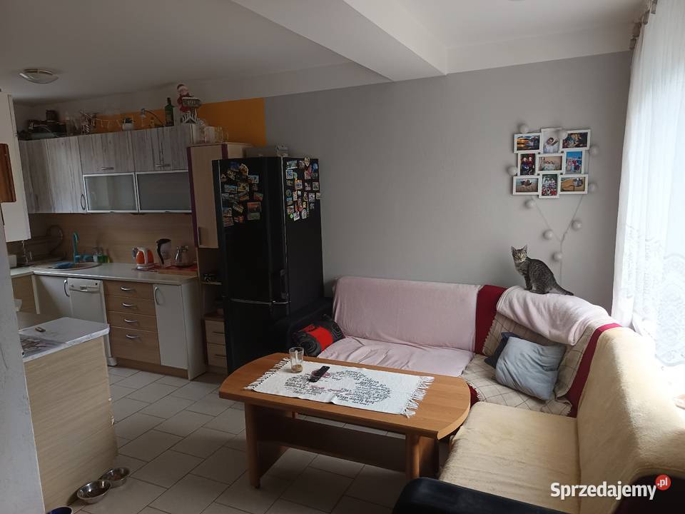 Sprzedam parterowy Lusowo