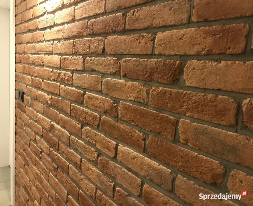 Płytki Ceglane Brześć Litewski 02 Warszawa sprzedam