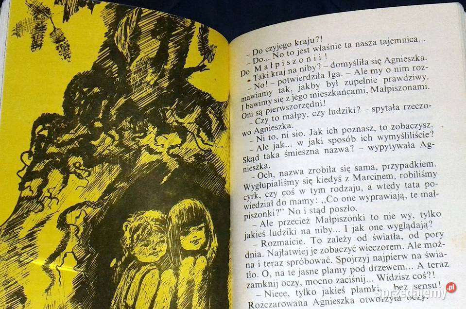 Chciałam być gwiazdą Maria Kowalewska Pozostałe Chełm sprzedam