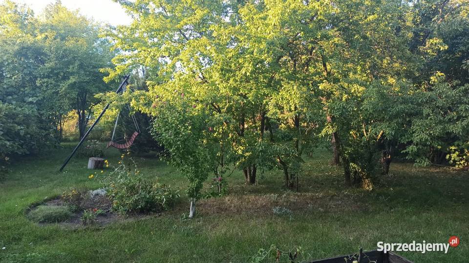 Działka ogrodowa Ogródek ROD Wrocław Sępolno 531m2 sprzedam