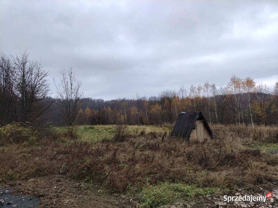 Sprzedam działę Zboiska sprzedam