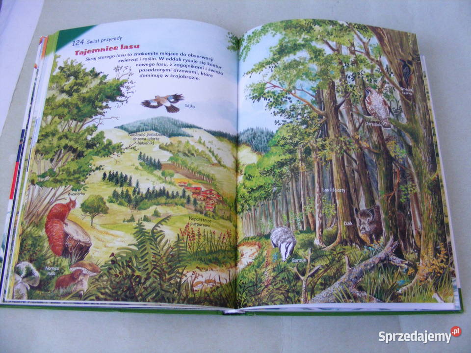 Świat przyrody Bouchardy