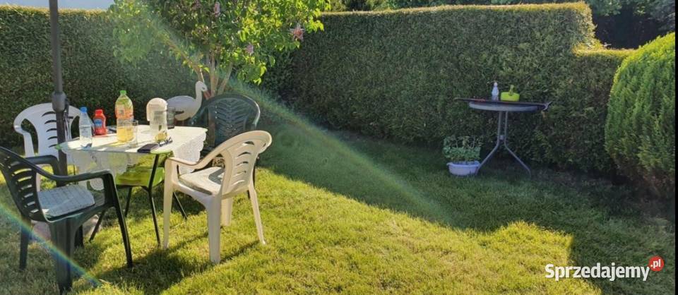 Działka ROD SUCHARSKIEGO Wejherowo 429m2 DOMEK