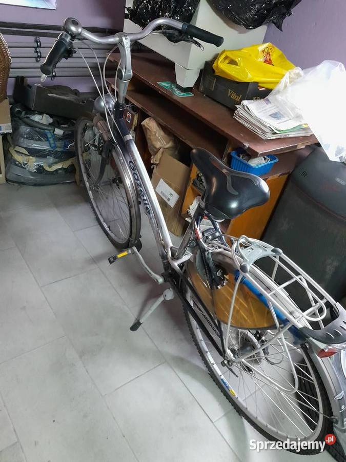 GAZELLE damka Miejskie Łuków