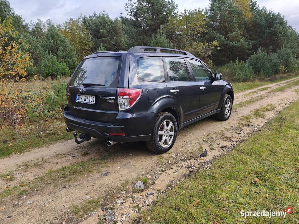 Subaru Forester 20 Diesel 4x4 Kamera Panorama Samochody osobowe Kłobuck