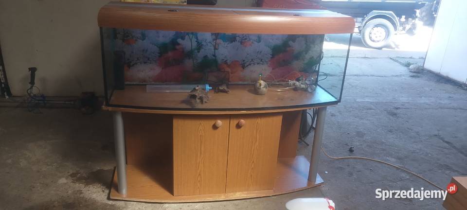 Akwarium z szafką 300 l i akcesoria Pozostałe Tczew