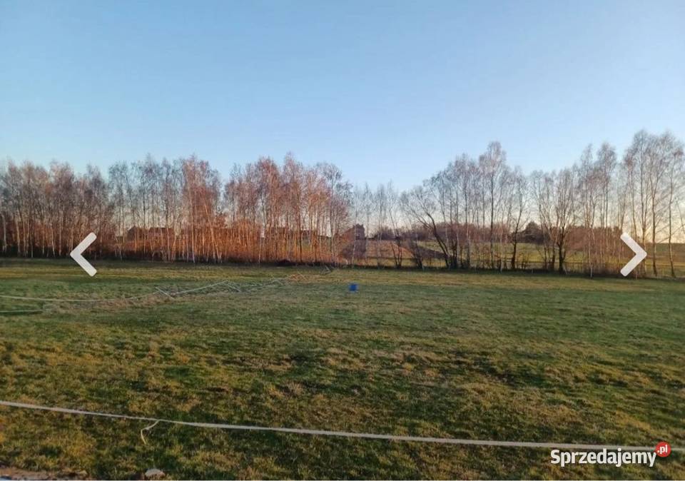 Działka budowlana asfalcie własny drzewostan
