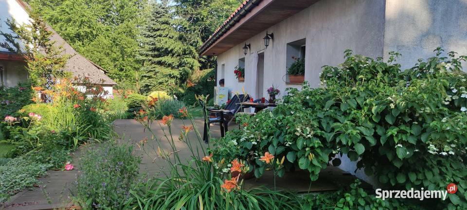 Siedlisko Rodowe Lechja Lipowa