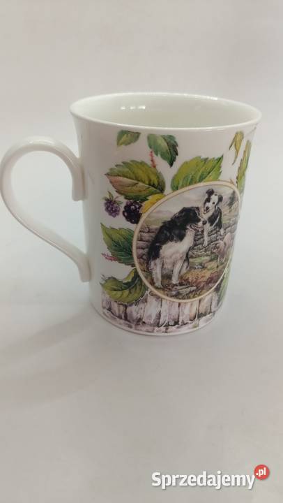 Kubek England pies owczarek collie Zamość