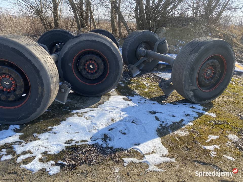 Zdrowe osie schmitz Żmigród