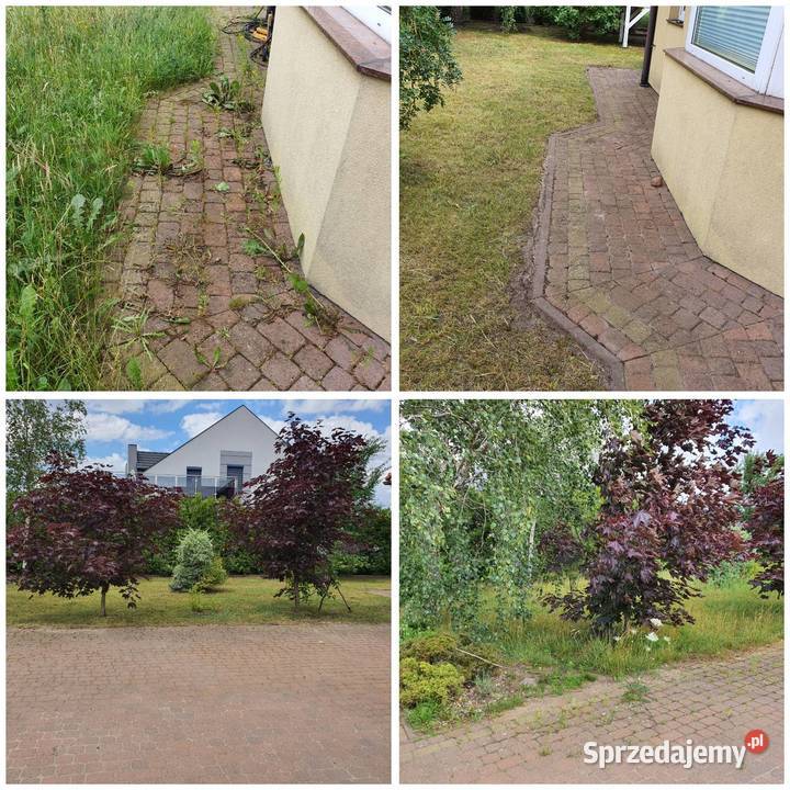 Sprzątanie działek ogrodów strychów piwnic itp Gdańsk