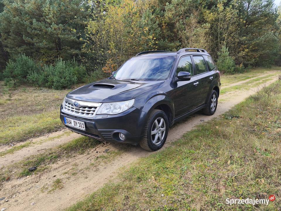 Subaru Forester 20 Diesel 4x4 Panorama Kamera sprzedam