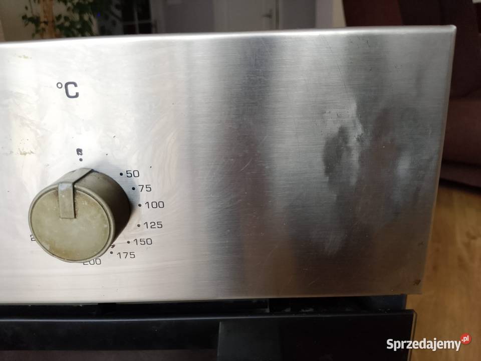 Pieniądze elektryczny Pleszew