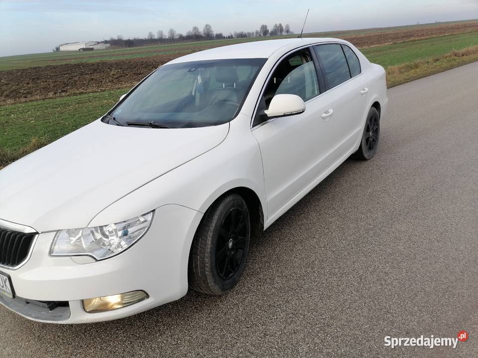Skoda superb z 2009r sil 19tdi 105biala świętokrzyskie Jędrzejów
