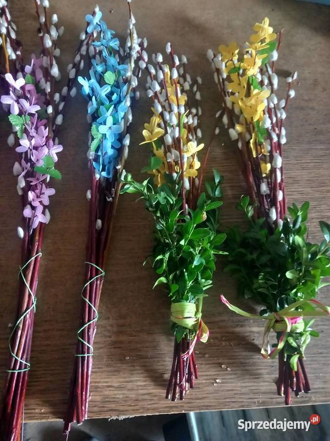 Wyprzedaż 9zltuja sznaragd 2 klasa Mogilno