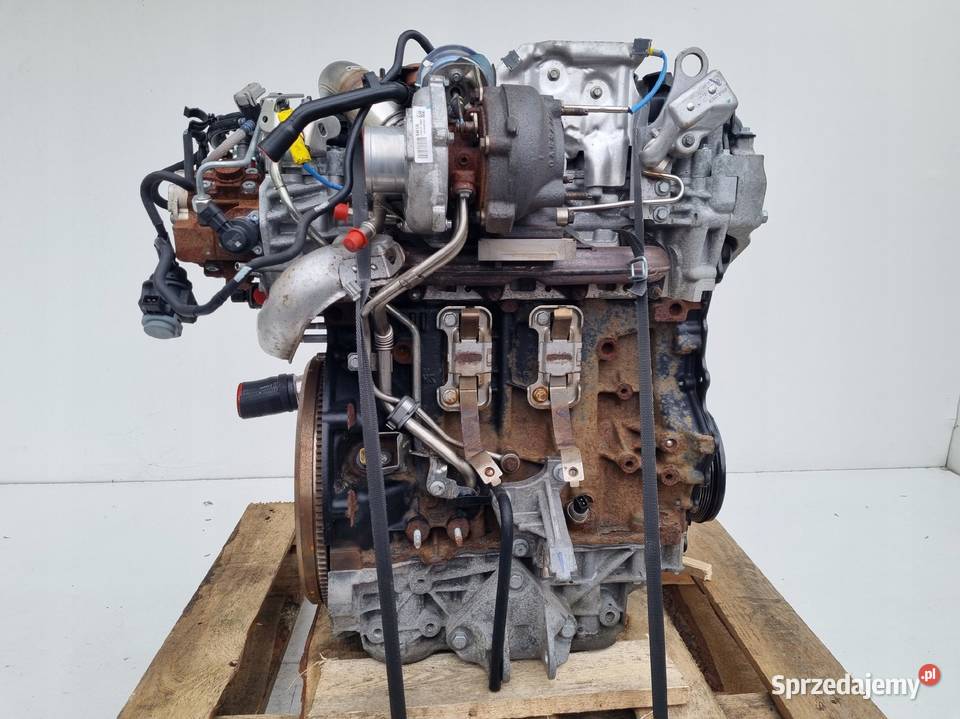 SILNIK KOMPLET Renault Laguna III 20 DCI 150 Rudka