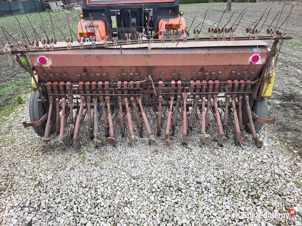 Siewnik poznaniak mazowieckie Wiskitki