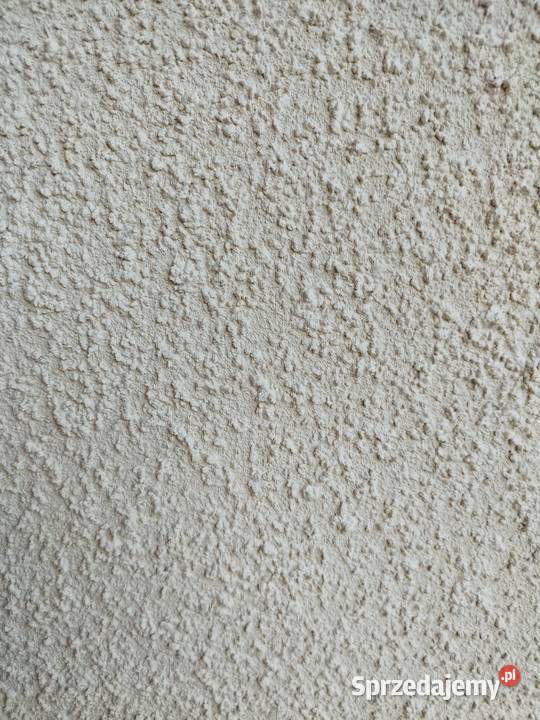 Sprzedam tynk Kebe Włocławek