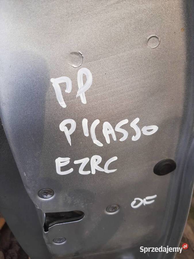 Citroen Xsara Picasso Drzwi prawe przednie prawy Części samochodowe Ksawerów