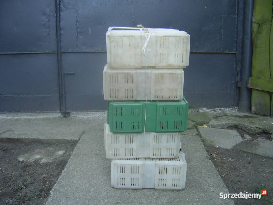 koszyki plastikowe na truskawki łódzkie Bratoszewice sprzedam