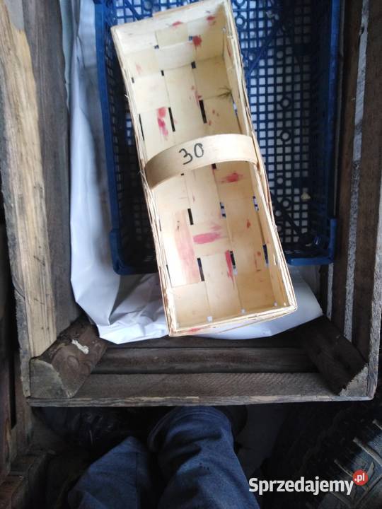 Sprzedam Łubianki koszyczki