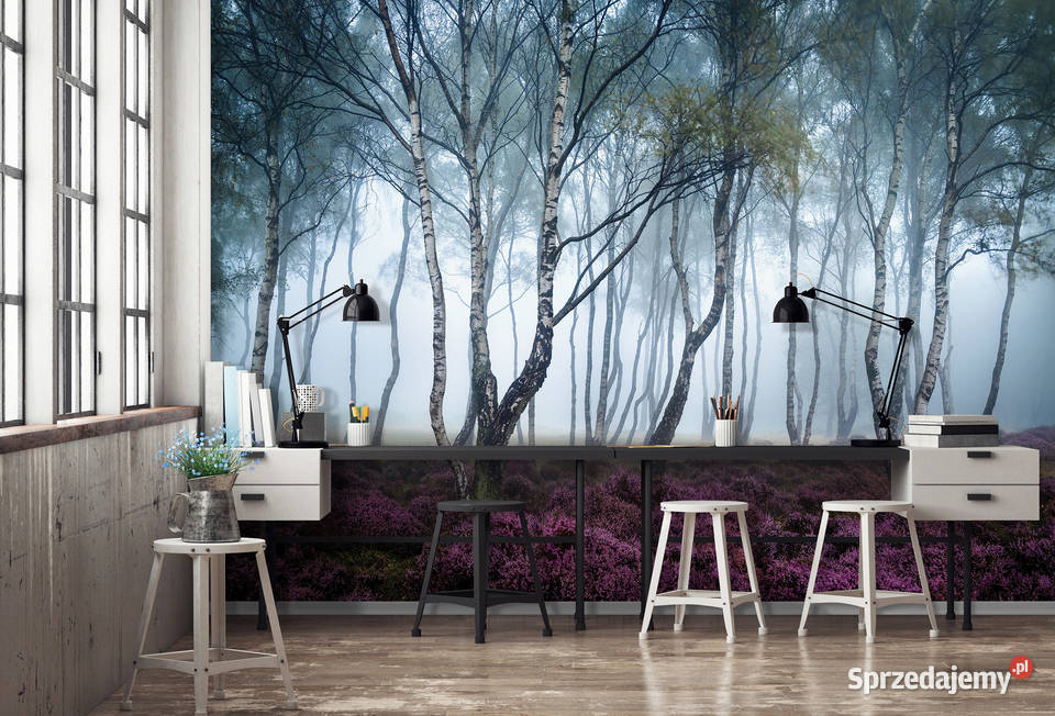 Tapeta fototapeta Las we mgle Las brzozowy wewnętrzne