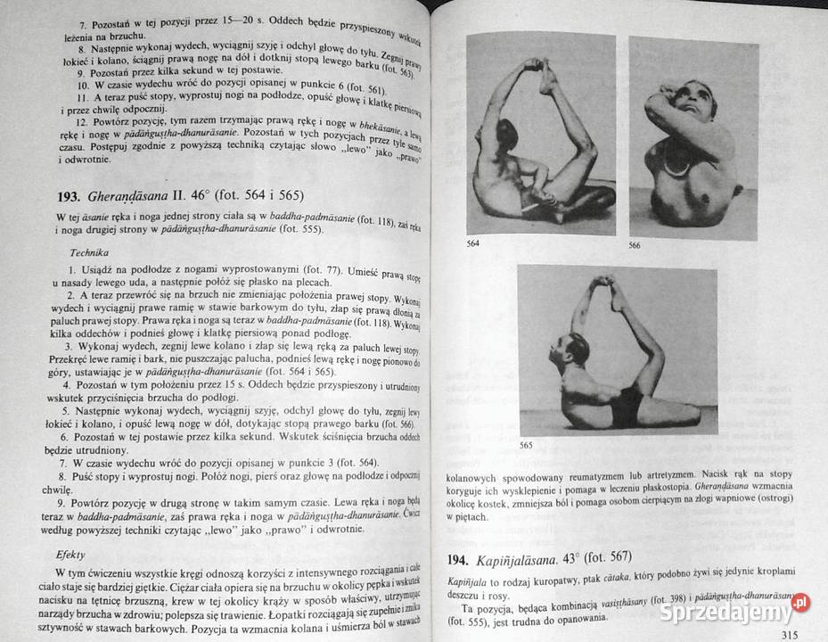 Joga BKS Iyengar Chełm