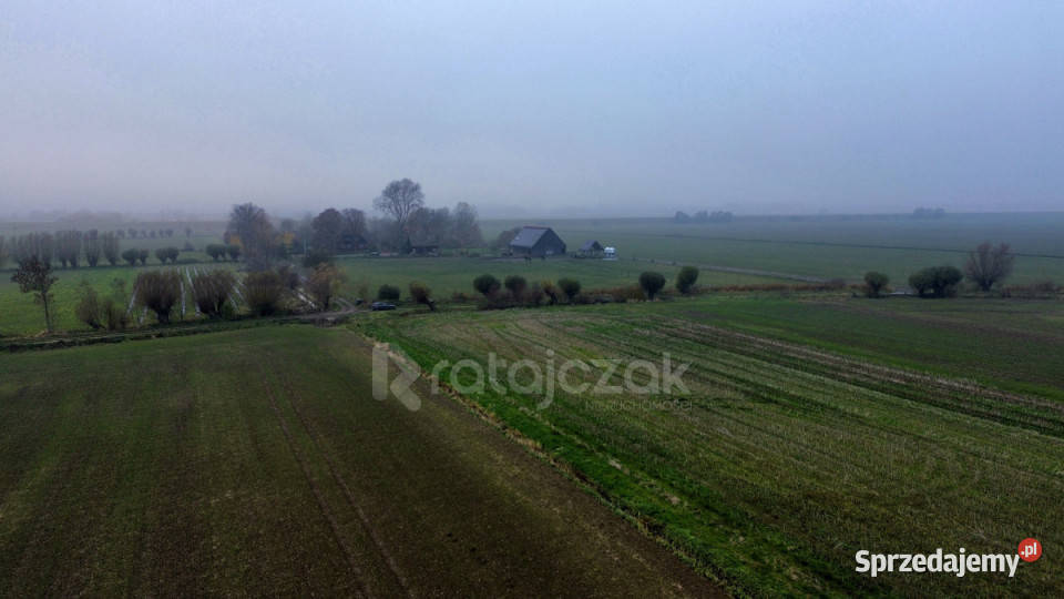 Grunt Drewnica Wierzbowa 3012m2 pomorskie