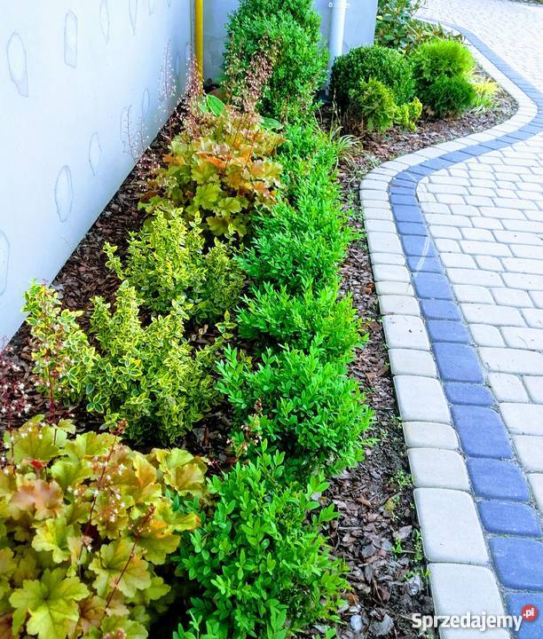 Projekt ogrodu projektowanie i zakładanie Piaseczno