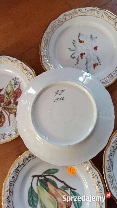 Przepiękne ręcznie malowane owoce Biała Gdańsk