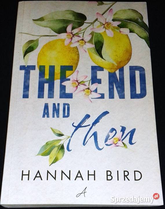 The End and Then Hannah Bird