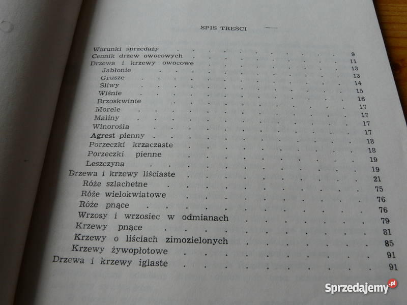 Szkółki Kórnickie Świebodzin