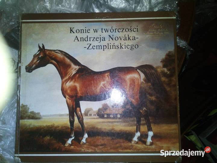 Konie w twórczości Andrzeja NovakaZemplińskiego