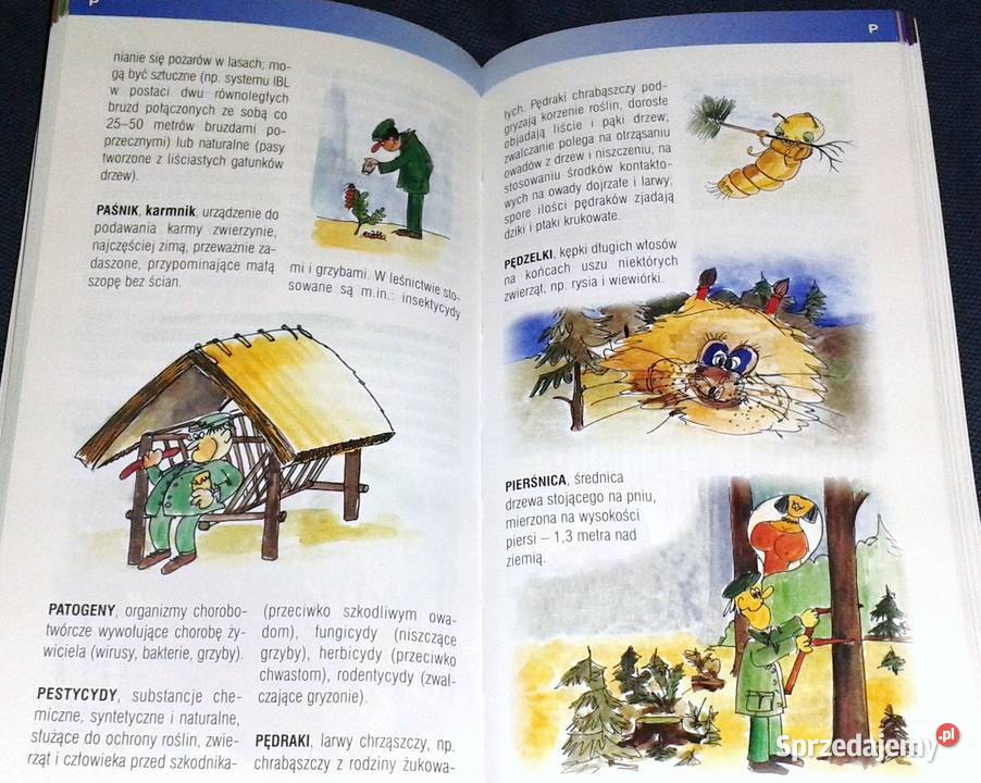 Las słowami opisany Słowniczek terminów leśnych Chełm