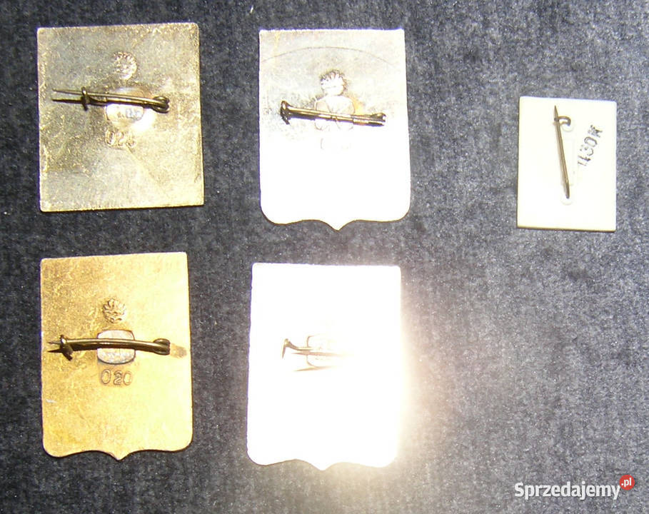 przypinki pinsy vintage miasta ZSRRDd dolnośląskie