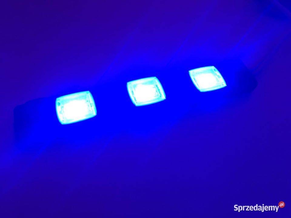 Moduł LED SMD 12V hermetyczne IP65 różne kolory Poznań