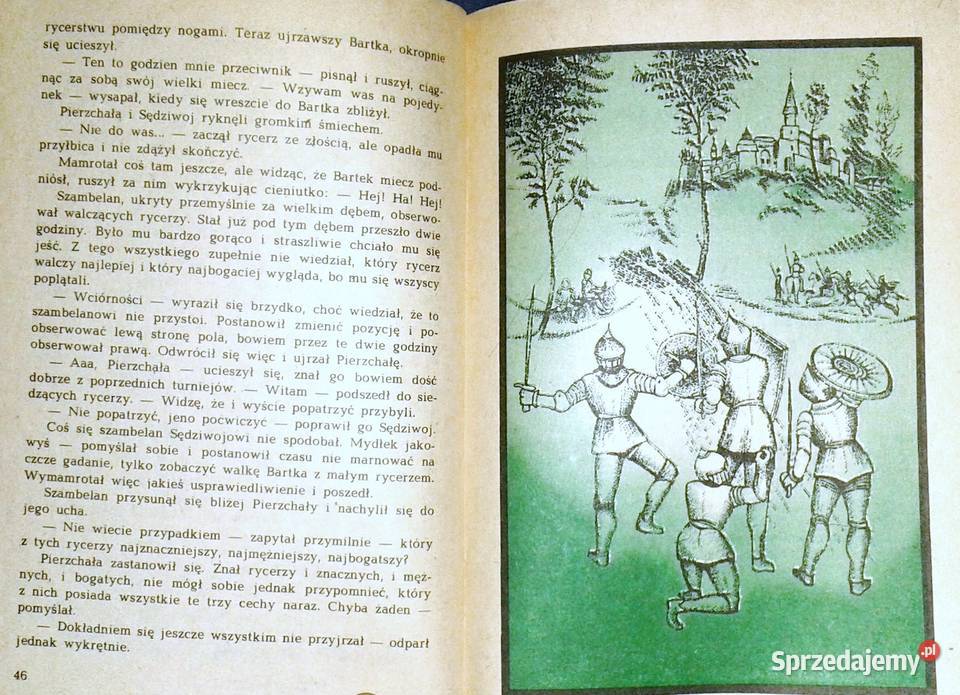 Mechaniczny Rycerz Anna Lewkowska Pozostałe Chełm