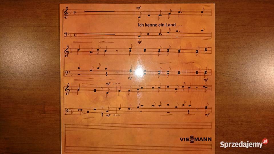 Płyta winylowa Ich kenne ein Land Viessmann Warszawa