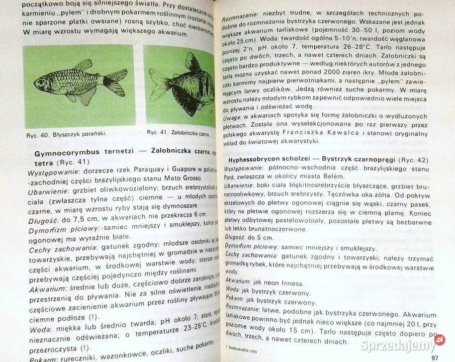 Słodkowodne ryby akwariowe Stefan Kornobis Pozostałe Chełm