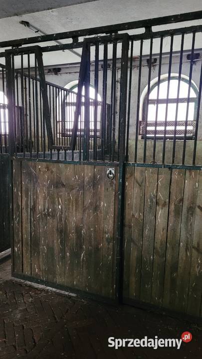 Boksy koni Małe Rudy